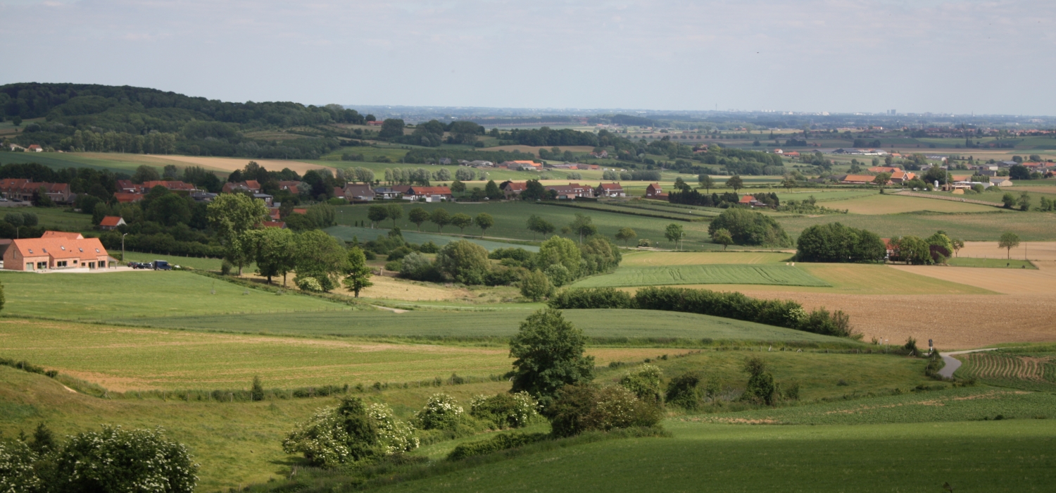 Heuvelland