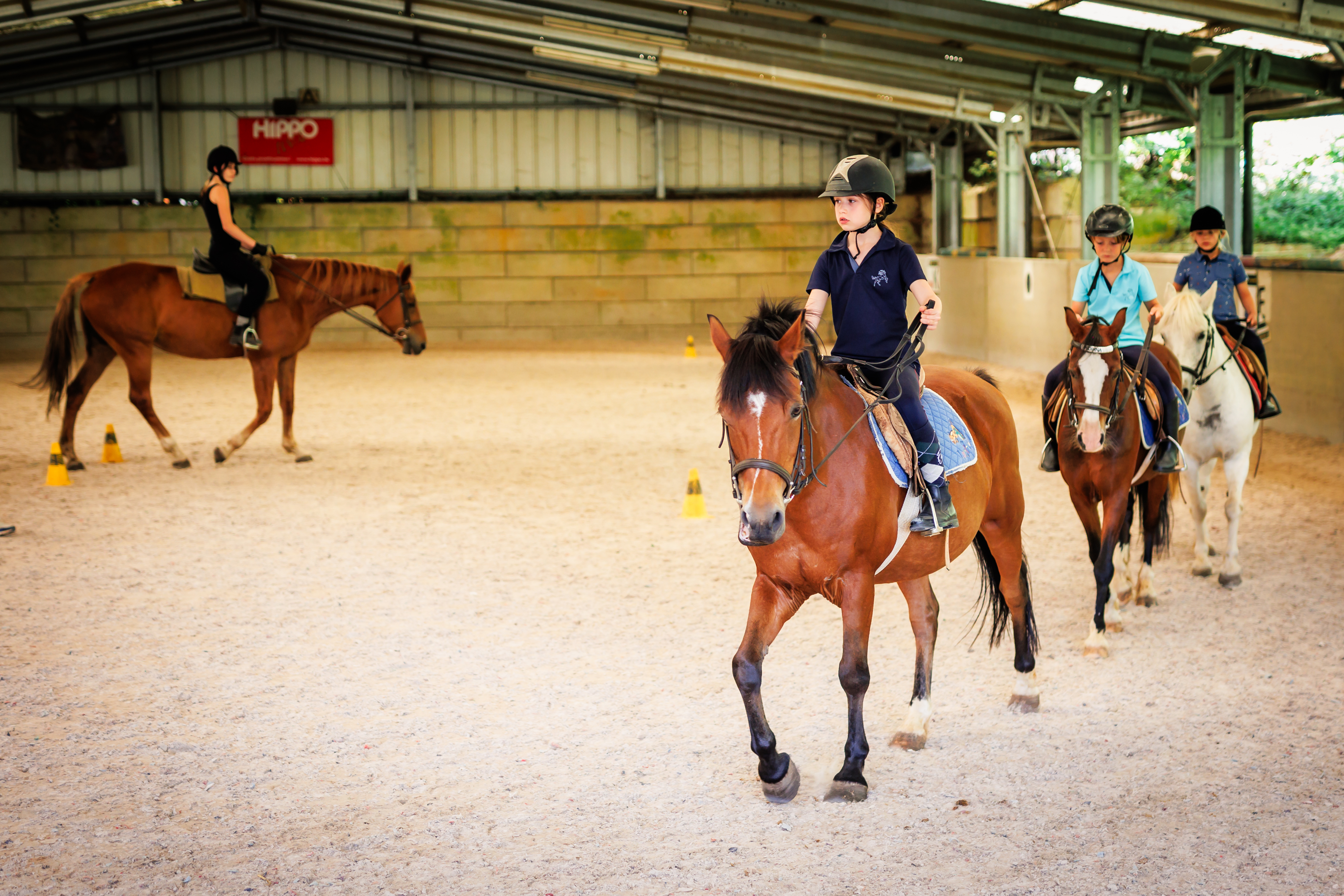 Pony- en paardrijden aan zee
