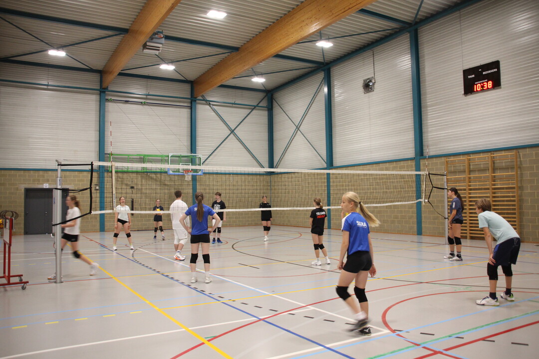 Volleybal